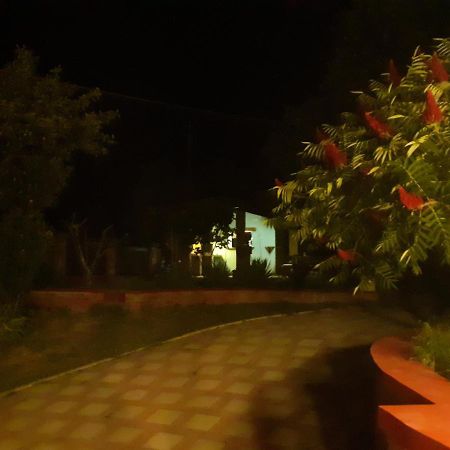 Village House Moo Moo Vranje Extérieur photo