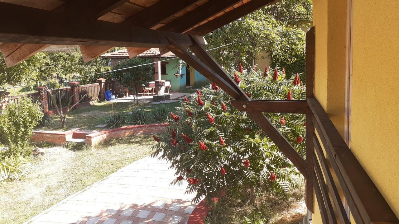 Village House Moo Moo Vranje Extérieur photo