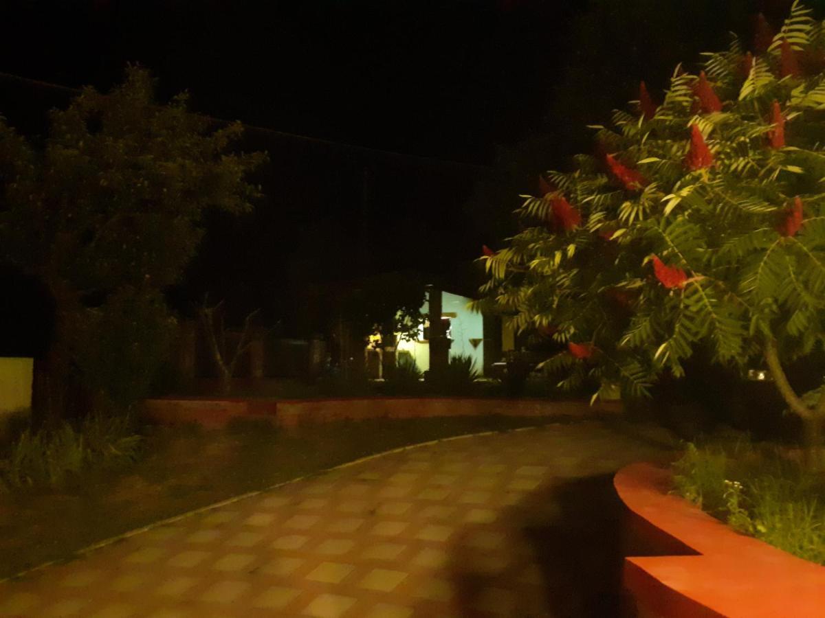 Village House Moo Moo Vranje Extérieur photo
